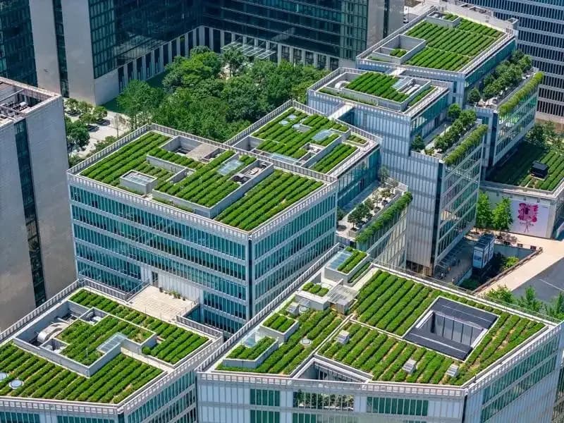 ESG in Real Estate: How Project Management Is Driving Change